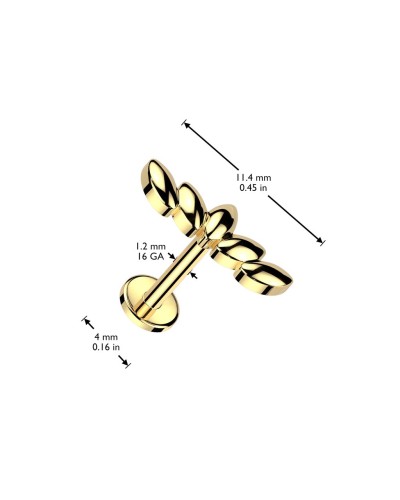 Piercing labret marquise feuilles
