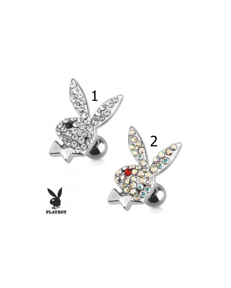 Piercing cartilage hélix et tragus Playboy