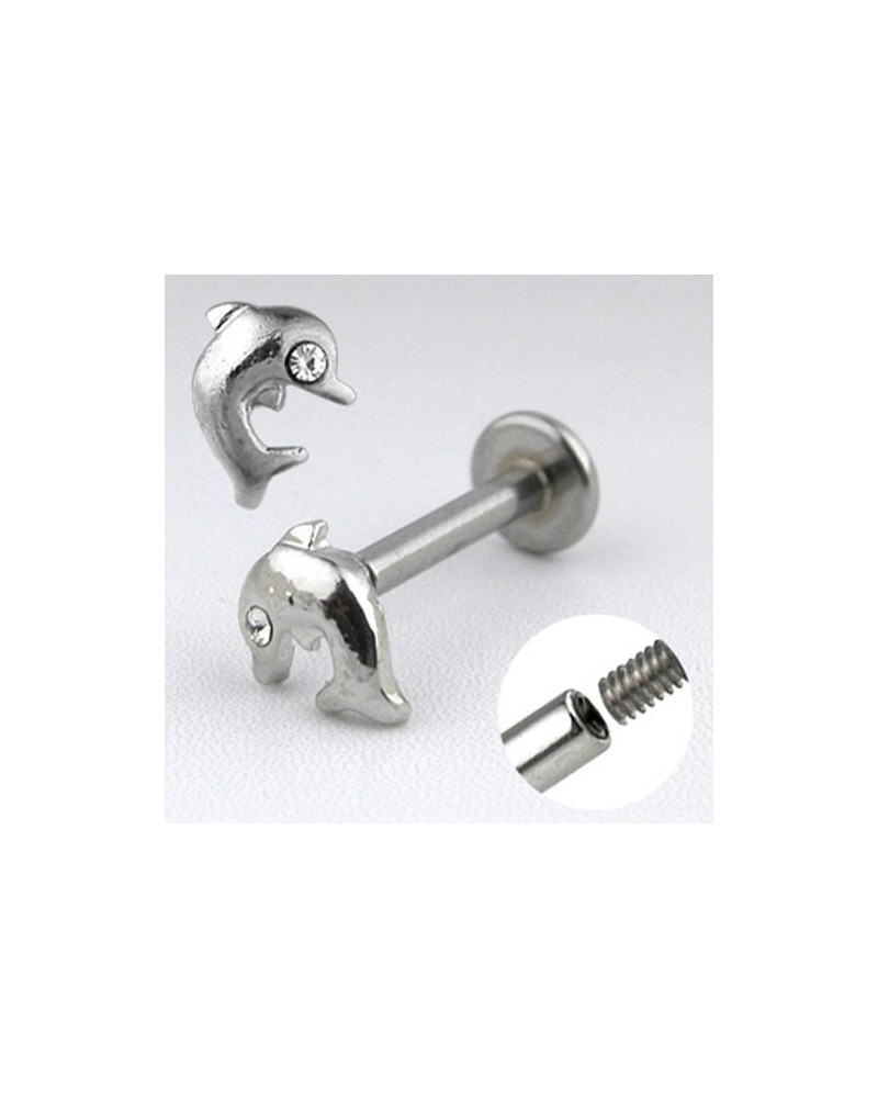 Piercing labret dauphin